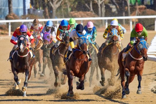Photo Horse racing