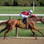 Photo Horse race
